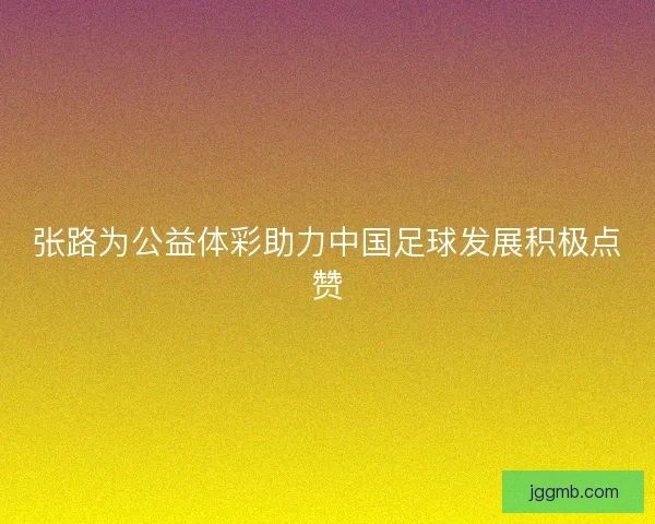 张路为公益体彩助力中国足球发展积极点赞